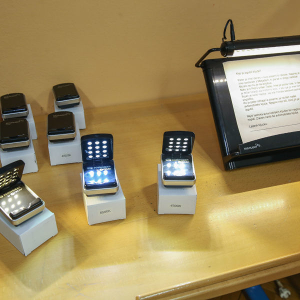 RWE pomaga Centru IRIS