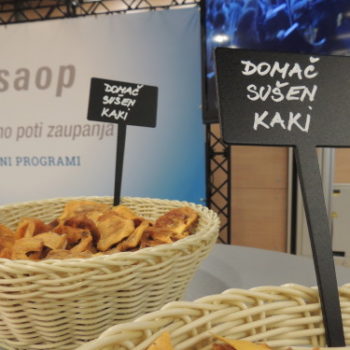 Predstavitev podjetja SAOP ob podelitvi nagrad GZS za izjemne gospodarske in podjetniške dosežke